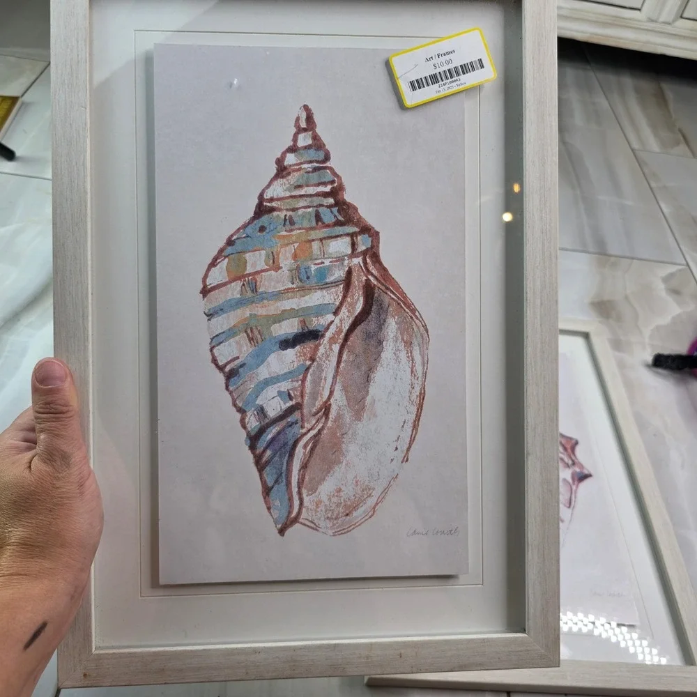 Lanie Loreth Seashell Framed Art Set 3 Coastal Nautical Watercolor Wall Decor